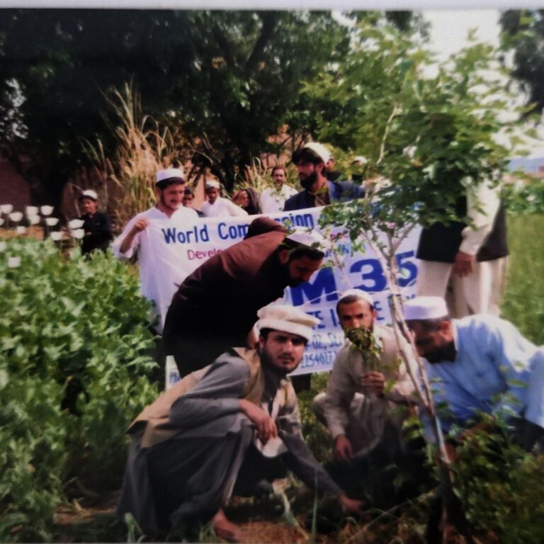 Campaign of POM 354 by WCHR